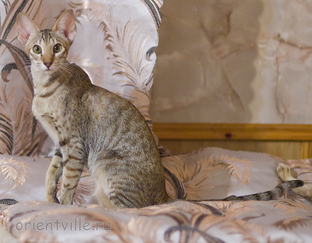 Габи. 7 месяцев