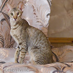 Габи. 7 месяцев