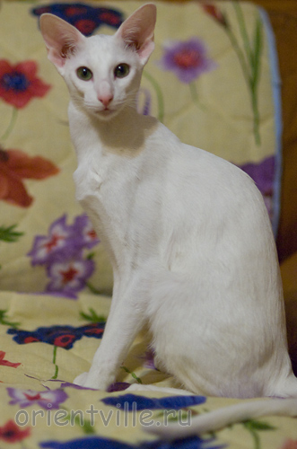 Галя. 7 месяцев