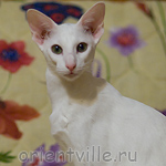 Галя. 7 месяцев