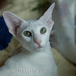 Галя. 7,5 месяцев