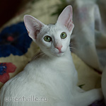 Галя. 7,5 месяцев