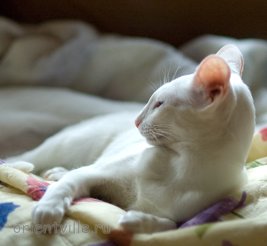 Галя. 7,5 месяцев