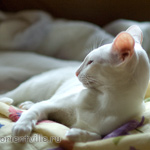 Галя. 7,5 месяцев