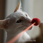 Ася в играх не уступает детям