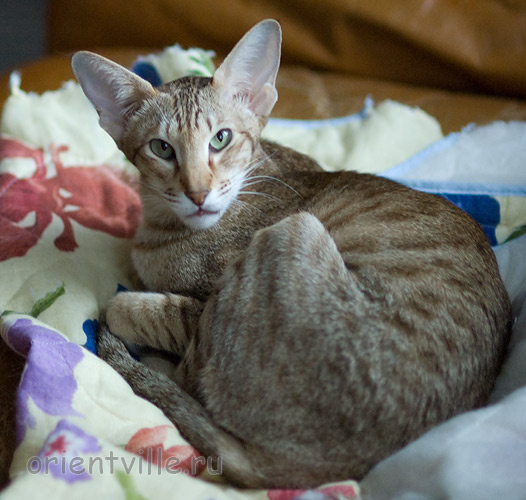 Зима - серьезная дама