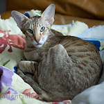 Зима - серьезная дама