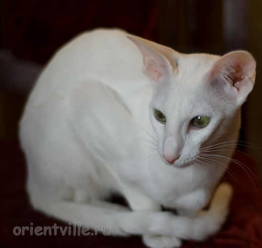 Галя. 10 месяцев