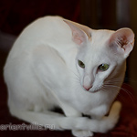 Галя. 10 месяцев