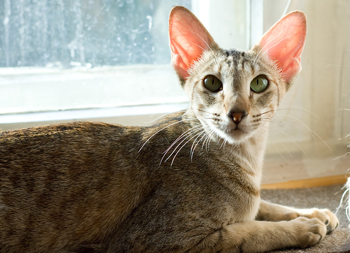 Габи. 11 месяцев