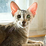 Габи. 11 месяцев