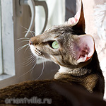 Габи. 11 месяцев