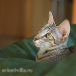 Габи. 11 месяцев