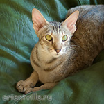 Габи. 11 месяцев