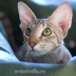 Габи. 11 месяцев