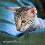 Габи. 11 месяцев