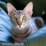 Габи. 11 месяцев