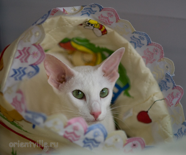 Галя. Год и 2 месяца