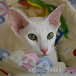 Галя. Год и 2 месяца