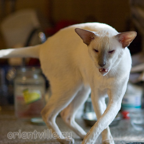 Nemo, almost 6 years