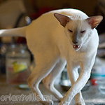 Nemo, almost 6 years