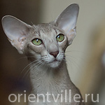 Mikado's Escada, 2 years