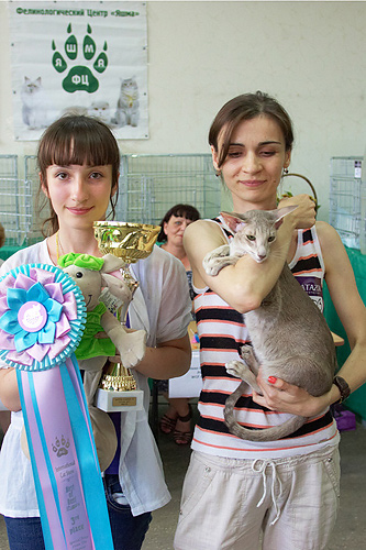 Mikado's Escada, 2 years