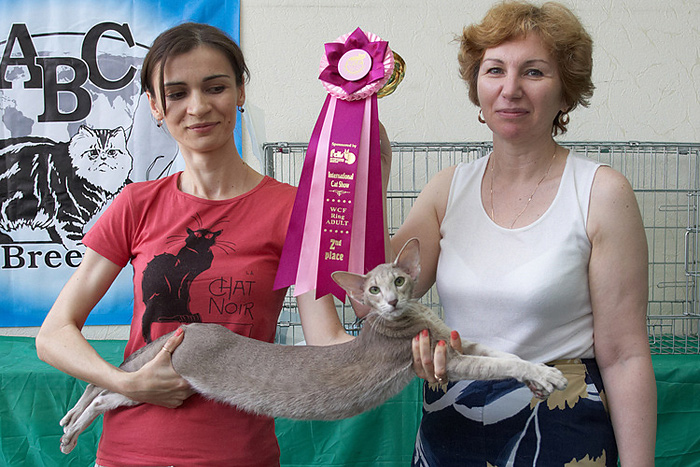 Mikado's Escada, 2 years