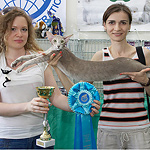 Mikado's Escada, 2 years