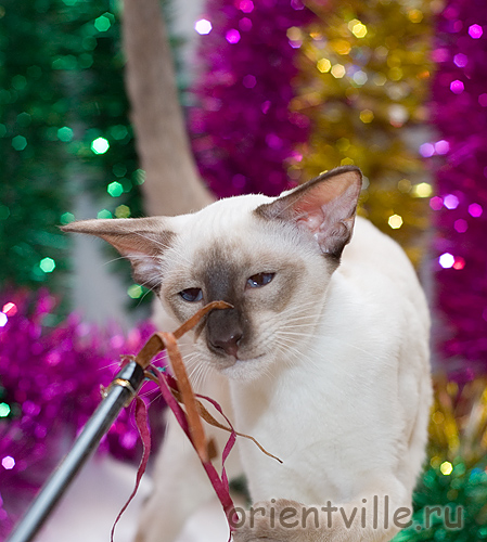 Orientville's Asterix