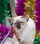 Orientville's Asterix