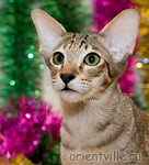 Orientville's Becky Thatcher