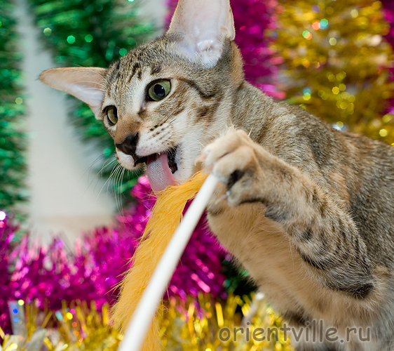 Orientville's Becky Thatcher