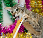 Orientville's Becky Thatcher