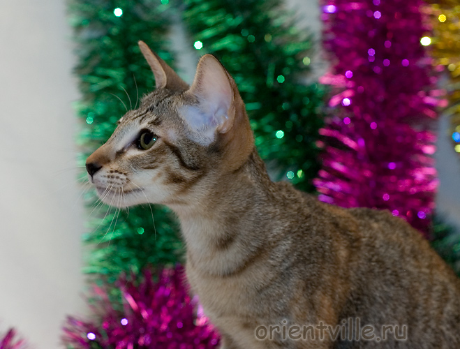 Orientville's Becky Thatcher