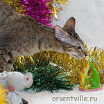 А это что такое?!