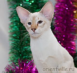 Сырррйозный мущщина