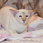 Кеша готовится на взлет