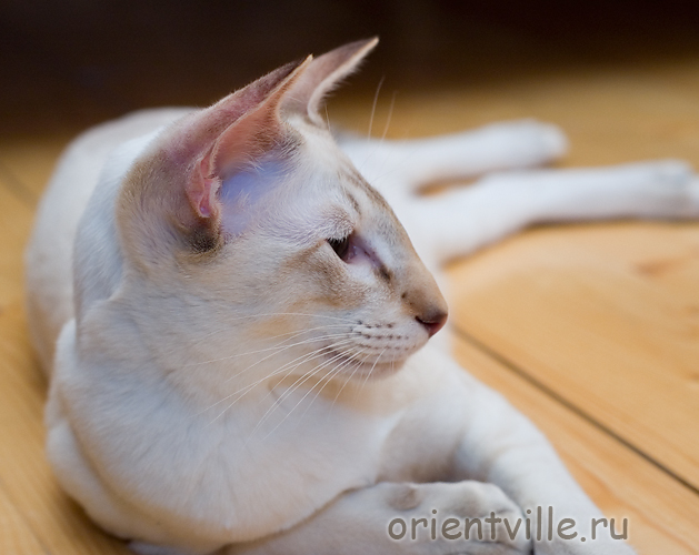 Удачная посадка