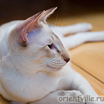 Удачная посадка