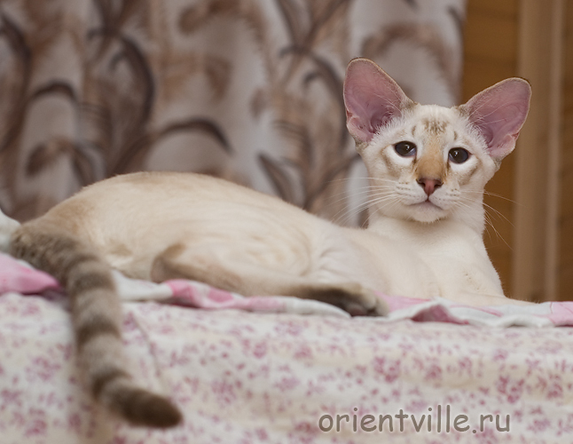 Что такое, я не понимаю