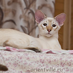 Что такое, я не понимаю