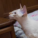 Там что-то есть!