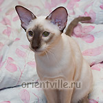 Рикся - примерный мальчик