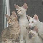 Зима, Кеша, Тата, Ася