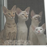 Зима, Кеша, Тата, Ася