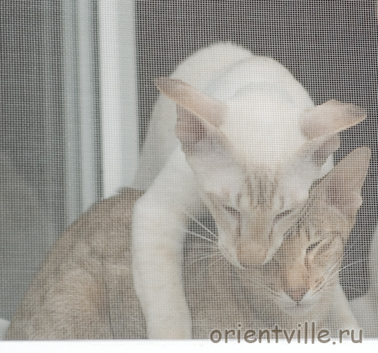 Мама, я тебя так люблю!!!