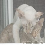 Мама, я тебя так люблю!!!