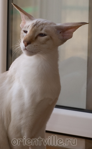 Мамочка, специально для тебя демонстрироваю самолетик