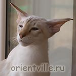 Мамочка, специально для тебя демонстрироваю самолетик